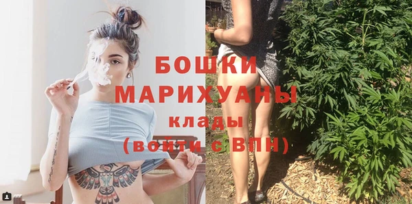 ГАЛЛЮЦИНОГЕННЫЕ ГРИБЫ Горняк