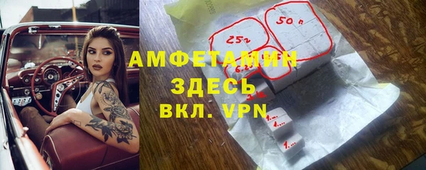 ГАЛЛЮЦИНОГЕННЫЕ ГРИБЫ Горняк